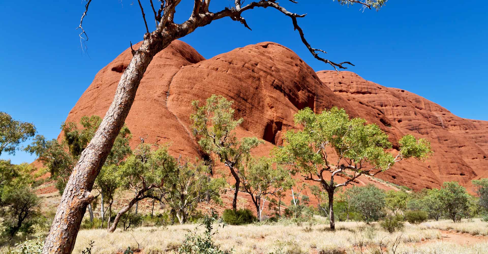 David Kulike Australien